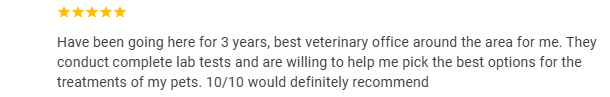 Cat Hospital