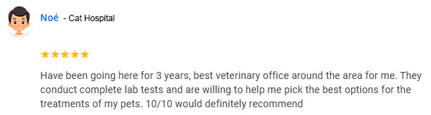 Cat-Hospital-