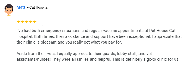 Cat-Hospital