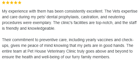 Dog Hospital