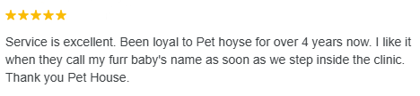 Dog Hospital