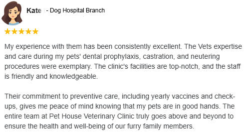 Dog-Hospital--