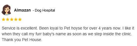 Dog-Hospital-