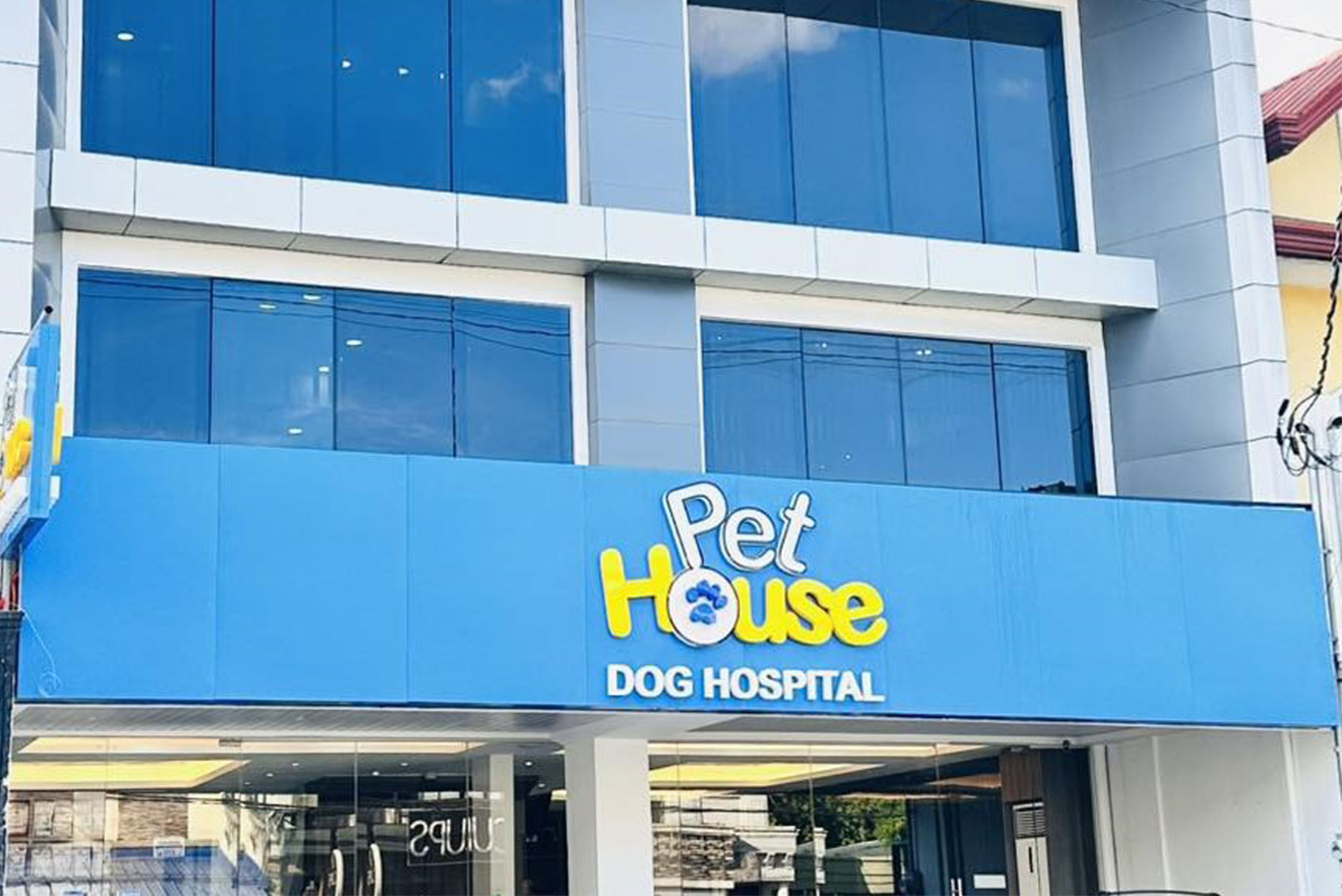 Exclusive-DOG-Hospital