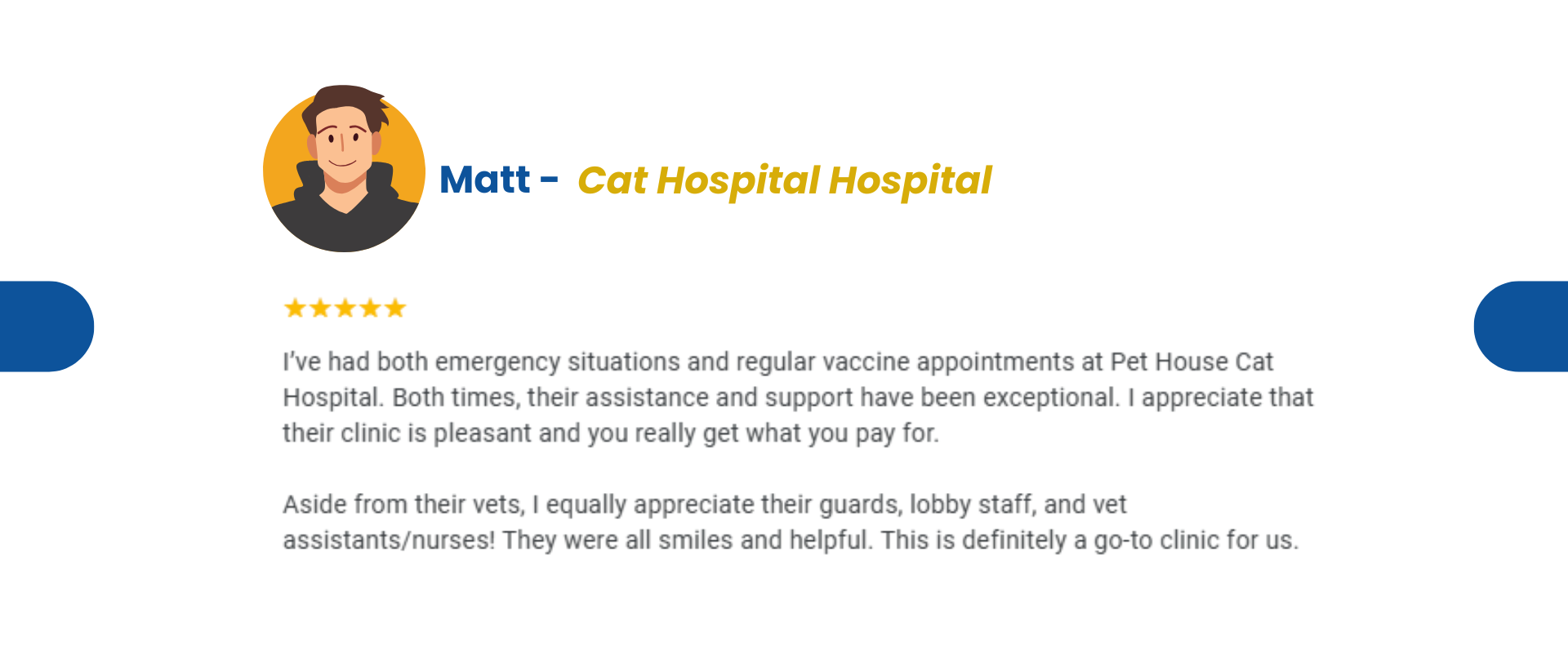 Cat Hospital (2)